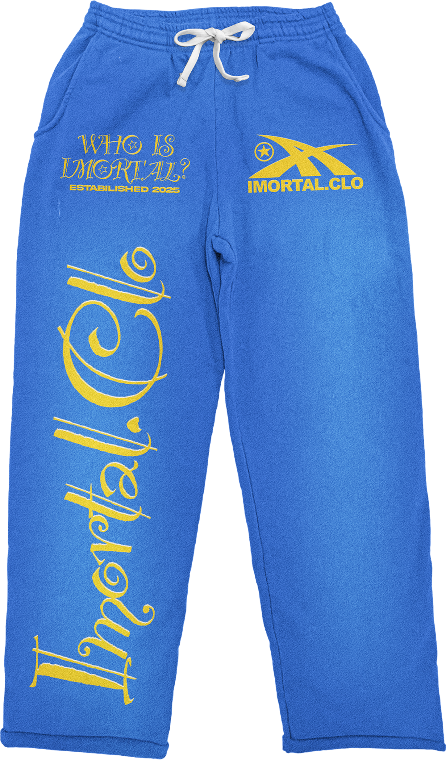 b Imortal Clothing “BLUE ” Pants