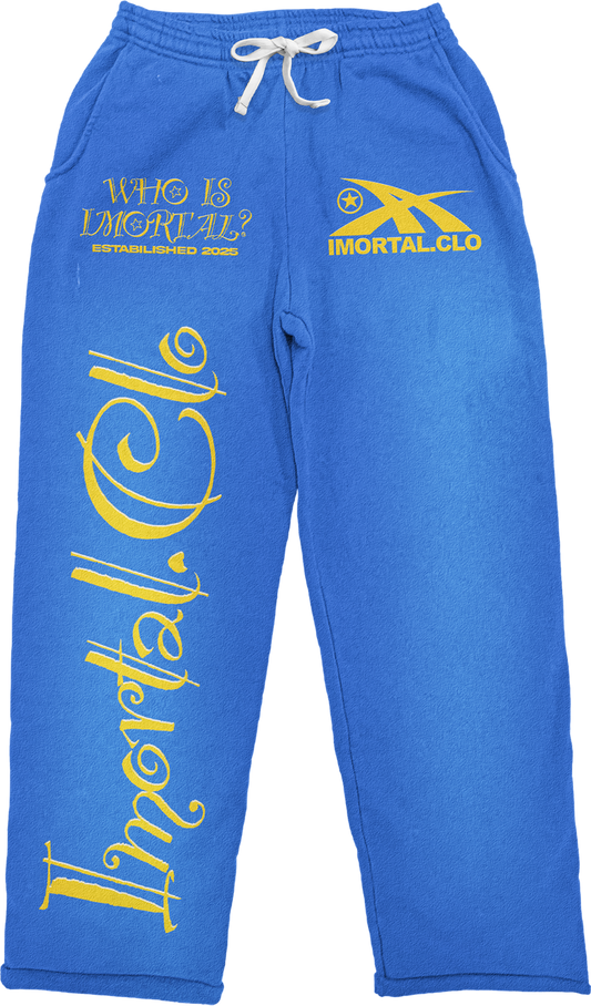 b Imortal Clothing “BLUE ” Pants